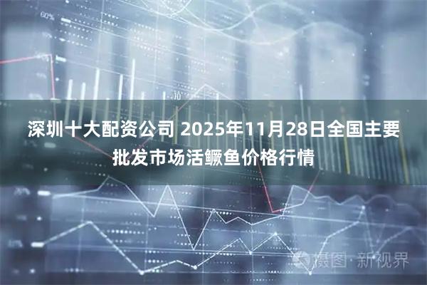深圳十大配资公司 2025年11月28日全国主要批发市场活鳜鱼价格行情
